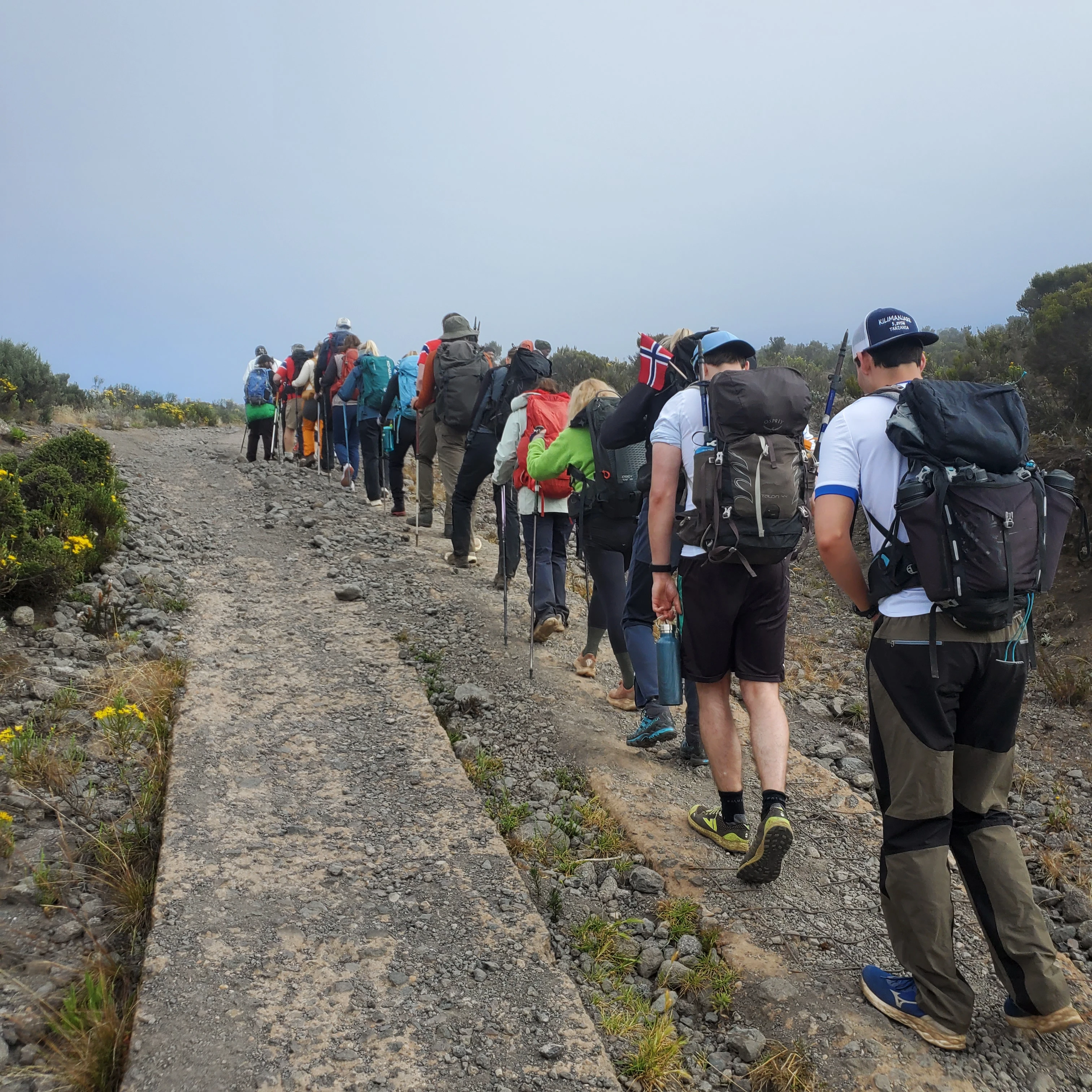 7 Days Lemosho Route – Luxury Group Joining & Family Friendly 