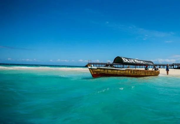 Sun, sand, and island vibes in Zanzibar.